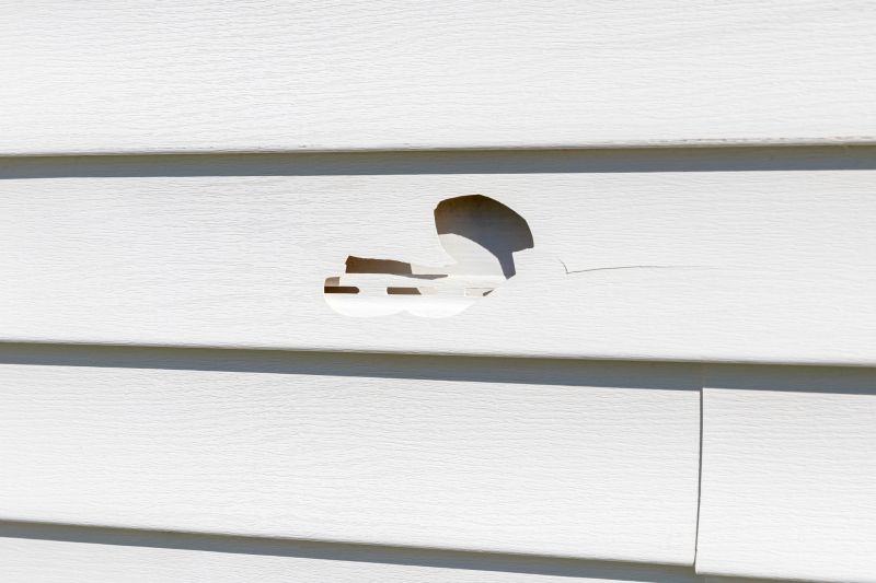 Siding Repair Using Patching Technique